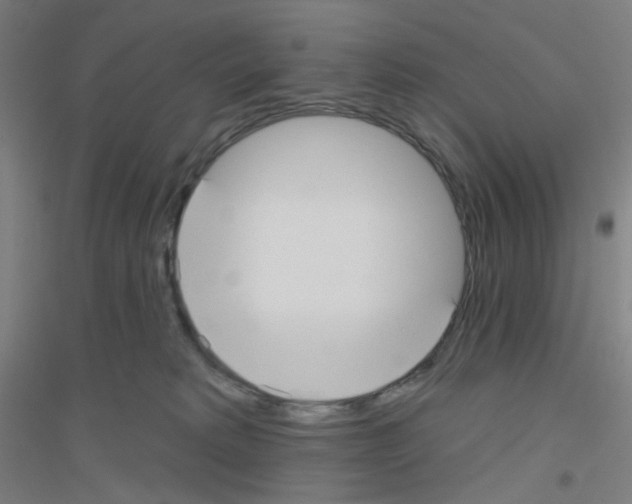 X0000116790229201001291526