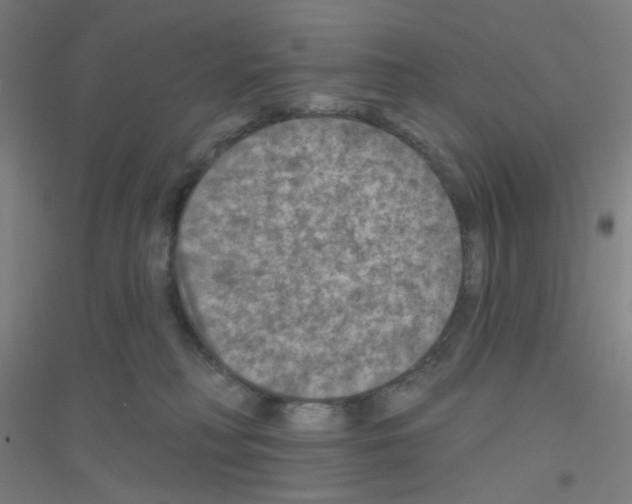 X0000116790230201001291526