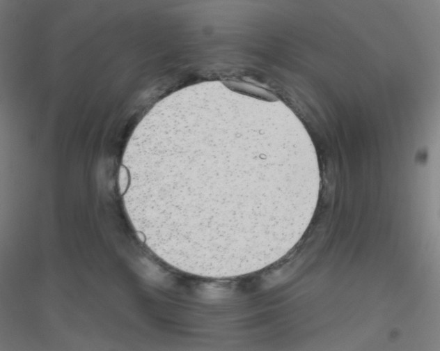 X0000116790232201001291525
