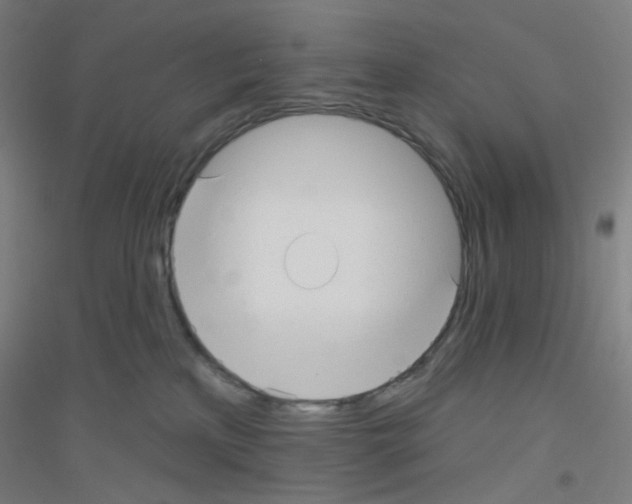 X0000116790233201001291525