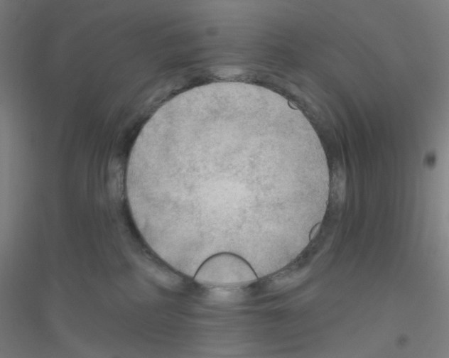X0000116790234201001291525