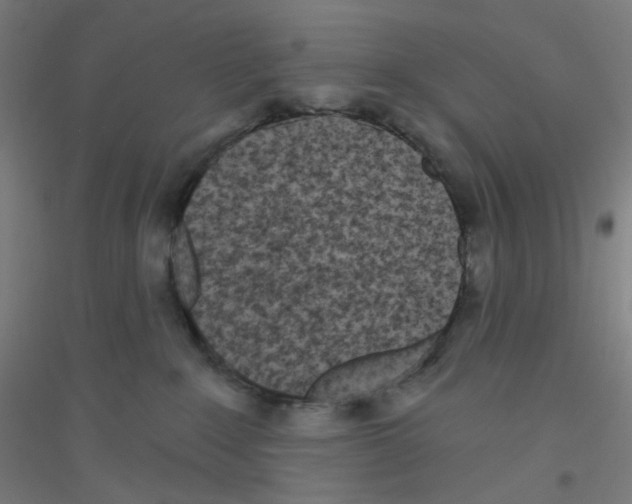 X0000116790235201001291525