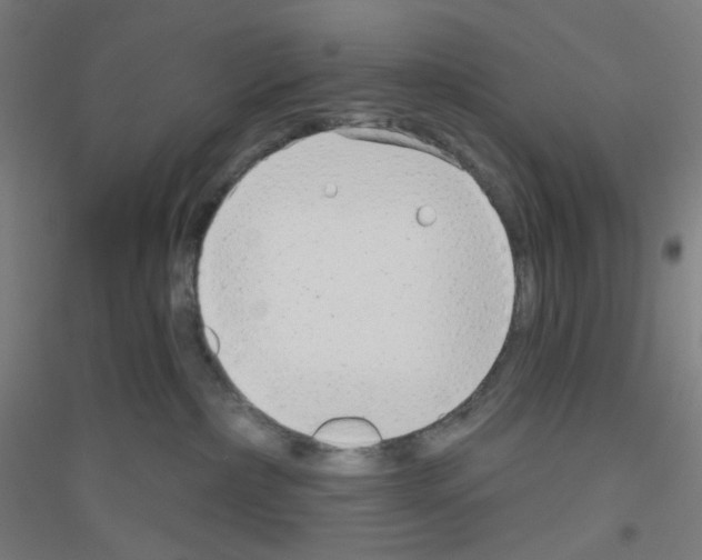 X0000116790236201001291525