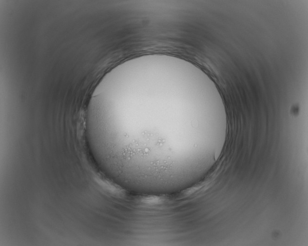 X0000116790237201001291525