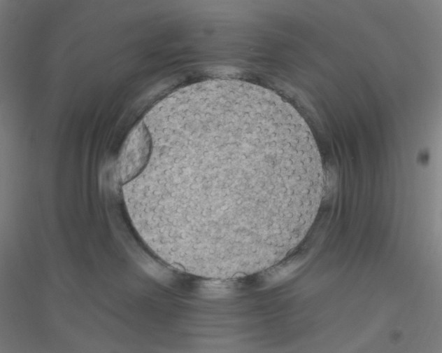 X0000116790238201001291525