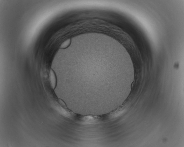 X0000116790239201001291525