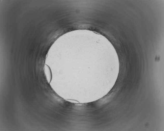 X0000116790240201001291525