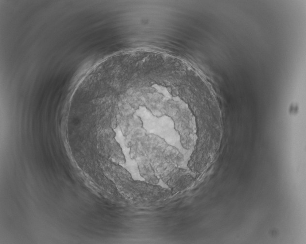X0000116790241201001291525