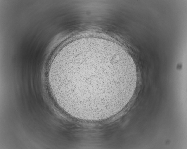 X0000116790242201001291525