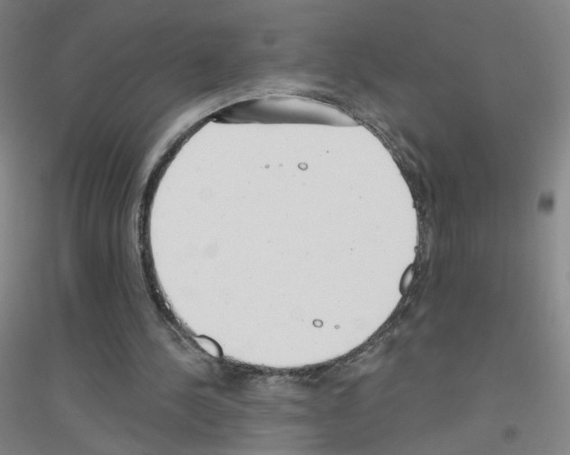 X0000116790244201001291525