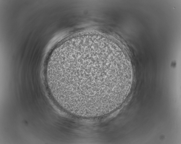 X0000116790245201001291525