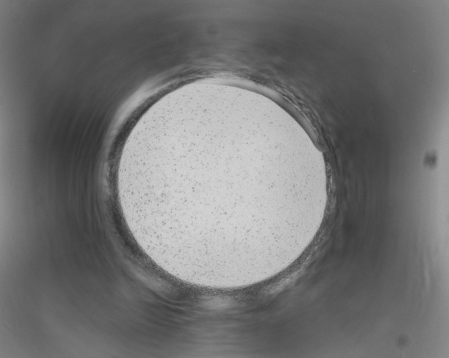 X0000116790246201001291525