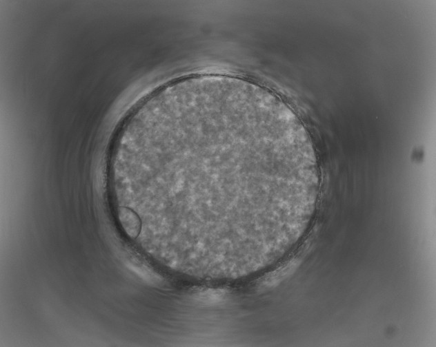 X0000116790247201001291525