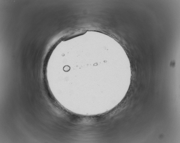 X0000116790248201001291525