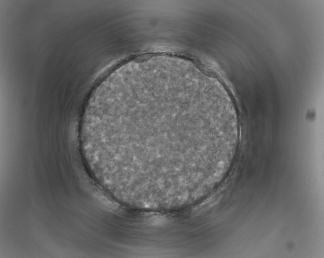 X0000116790249201001291525