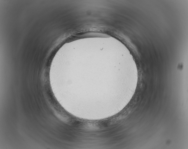 X0000116790250201001291525