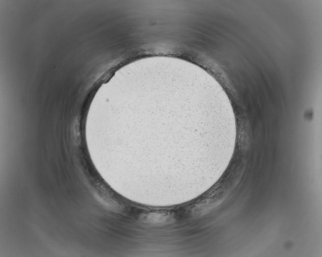 X0000116790251201001291525