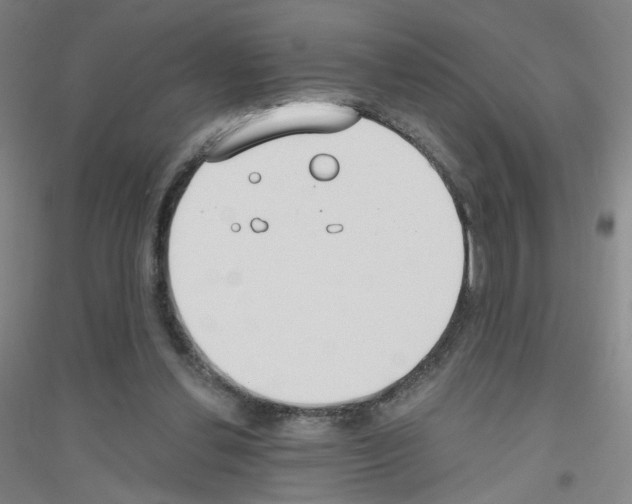 X0000116790252201001291525