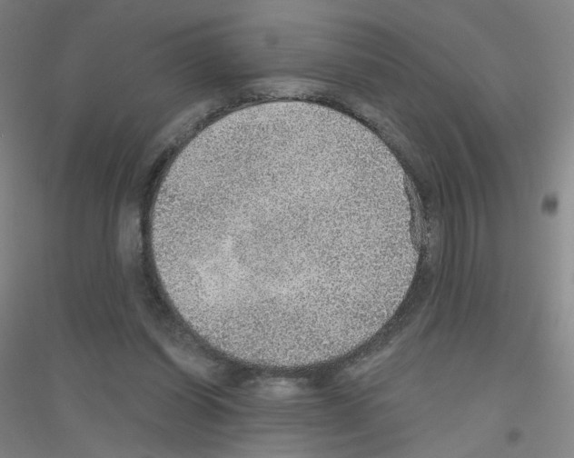 X0000116790254201001291525