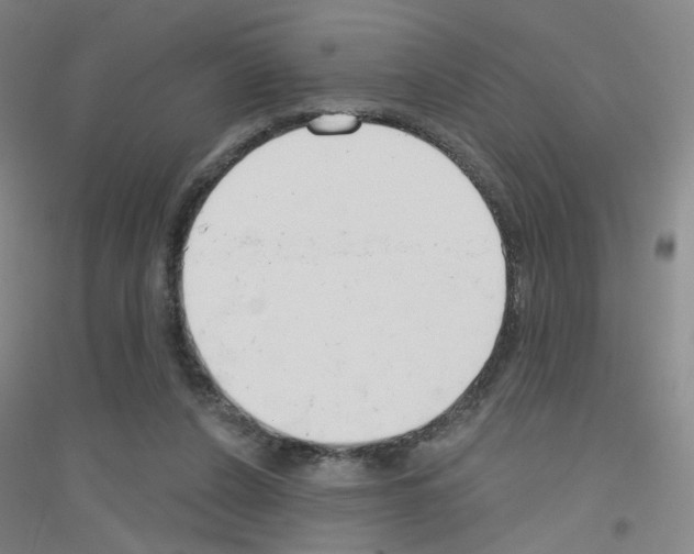 X0000116790256201001291525