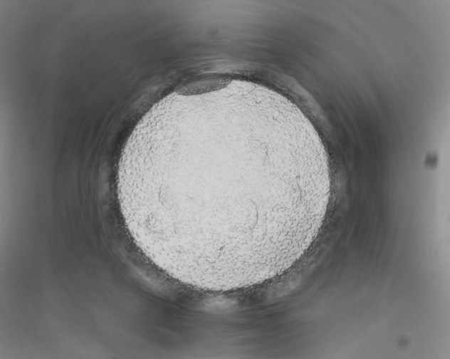 X0000116790257201001291525