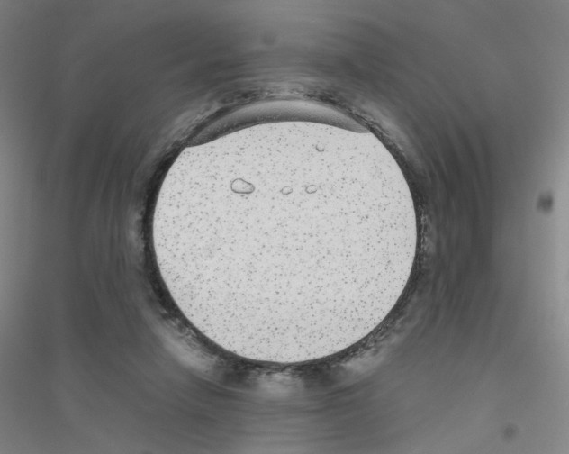 X0000116790258201001291525