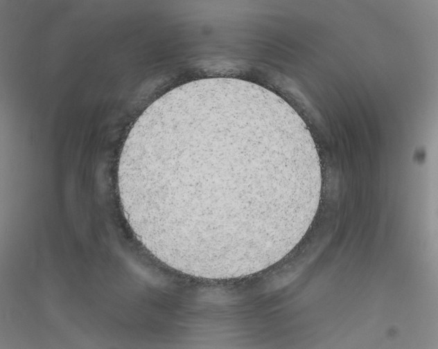 X0000116790259201001291525