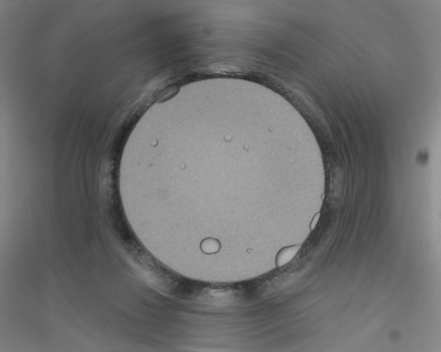 X0000116790260201001291525