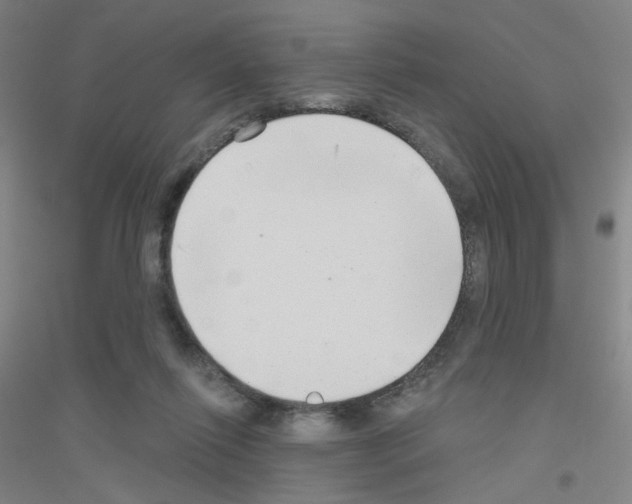 X0000116790262201001291525