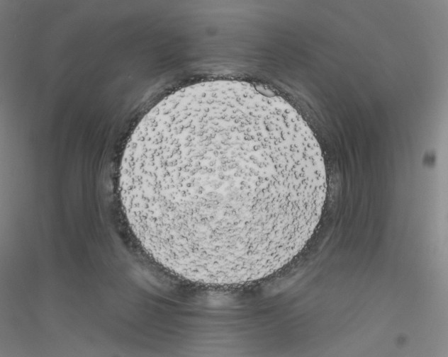 X0000116790264201001291525