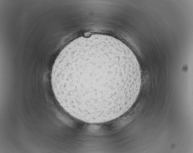 X0000116790265201001291525