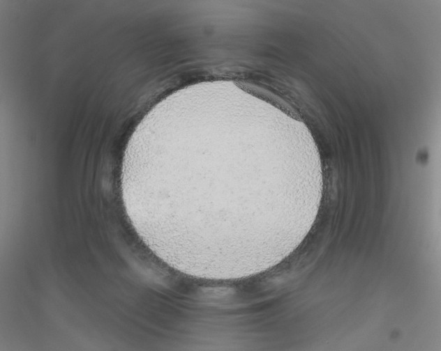 X0000116790266201001291525