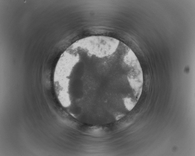 X0000116790267201001291525