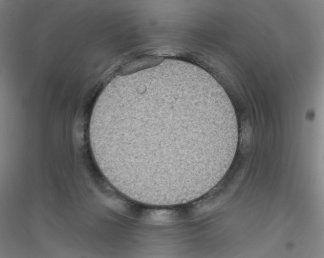 X0000116790268201001291525