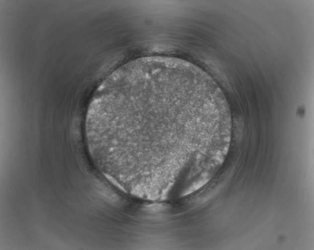 X0000116790269201001291525