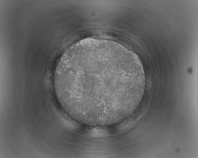 X0000116790270201001291525