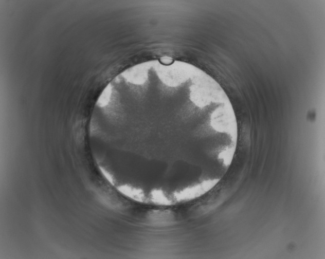 X0000116790271201001291525