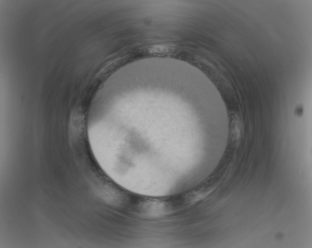 X0000116790276201001291525
