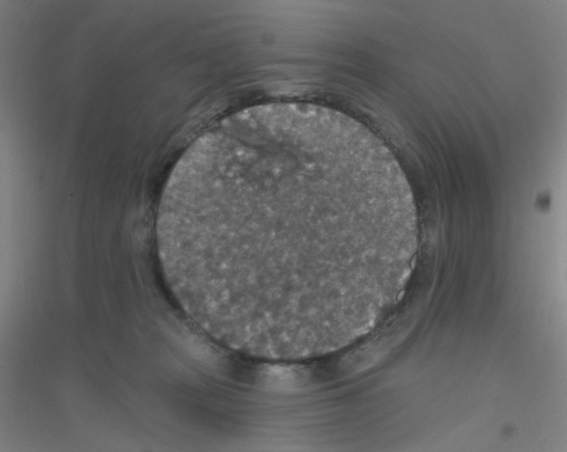 X0000116790277201001291525