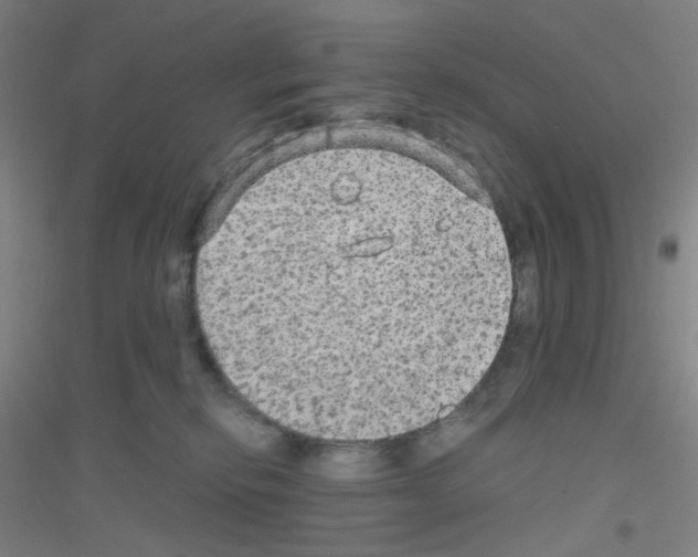 X0000116790278201001291525