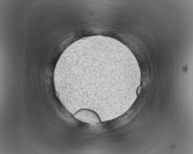 X0000116790279201001291525
