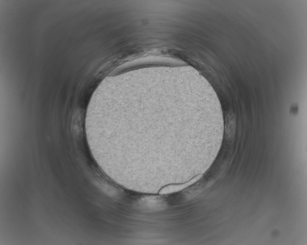 X0000116790280201001291525
