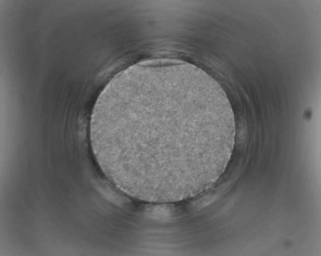 X0000116790282201001291525