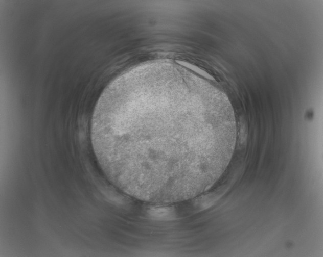 X0000116790283201001291525