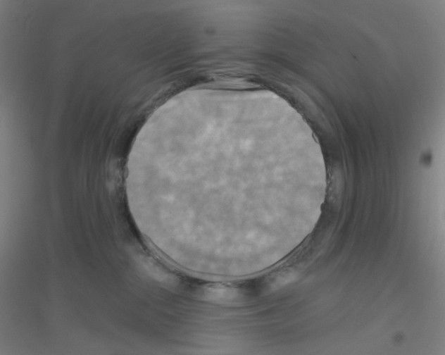 X0000116790284201001291525