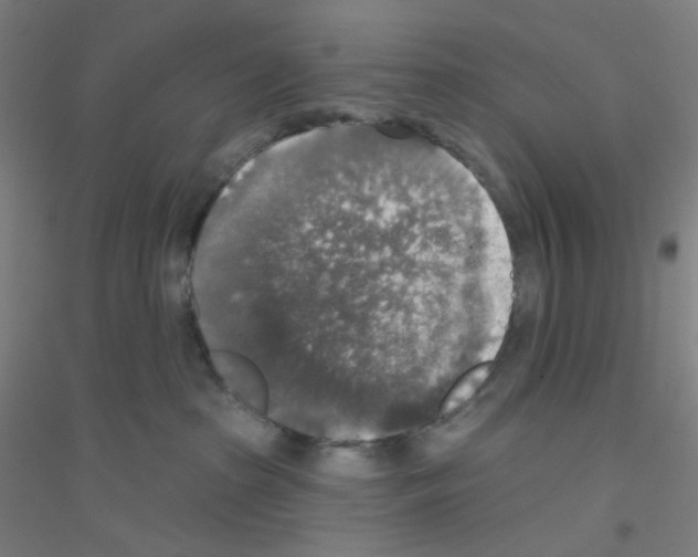X0000116790285201001291525
