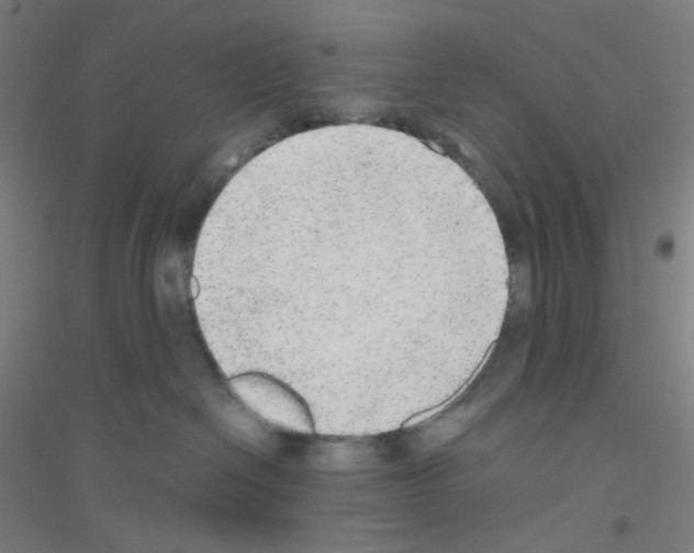 X0000116790286201001291525