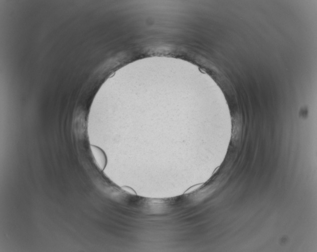 X0000116790287201001291525