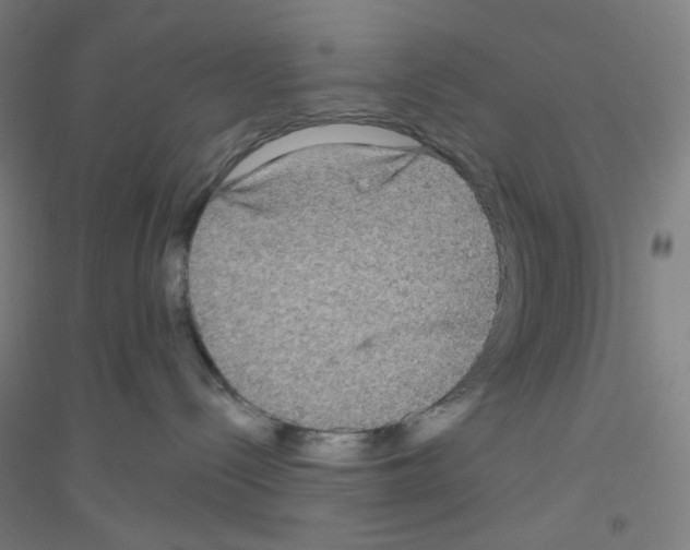 X0000116790288201001291525