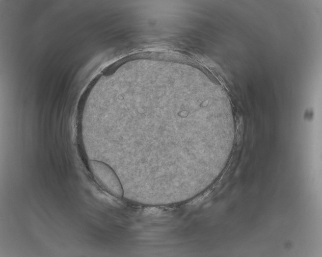 X0000116790290201001291525
